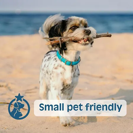 Residenza דירה ליגננו סביאדורו